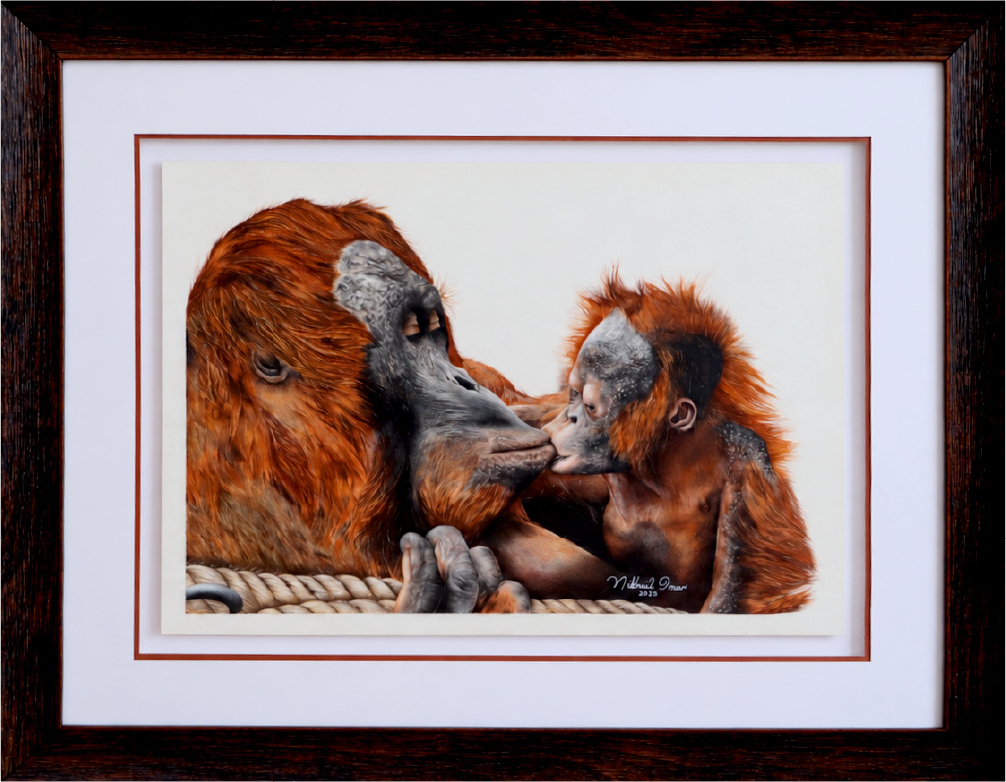 Bornean Orangutan