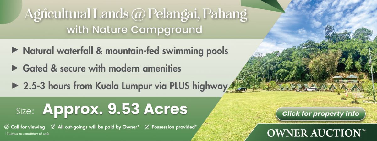 Campsite Land