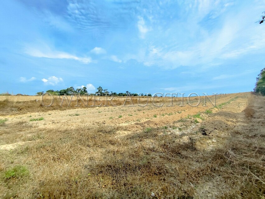 [Vacant, flat & ready for various potential uses] Land [Close to Jasin and Bukit Katil, Melaka]