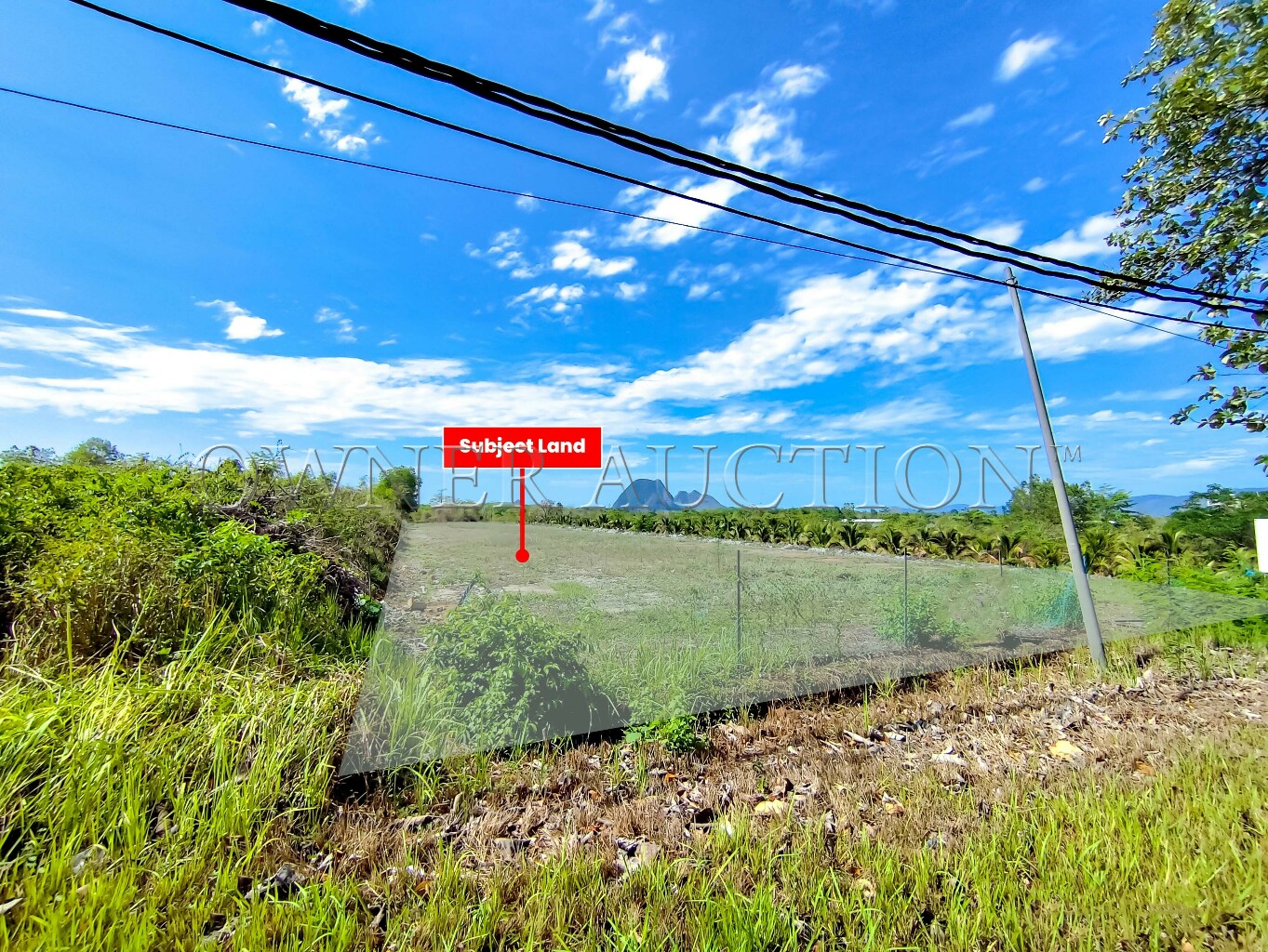 [Vacant Flat Land; Ideal for Development] Agricultural Land [3 mins to UniMAP Campus, 10 mins to Padang Besar Immigration & Customs (Malaysia–Thailand border hub)]