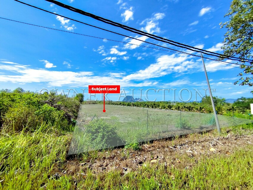 [Vacant Flat Land; Ideal for Development] Agricultural Land [3 mins to UniMAP Campus, 10 mins to Padang Besar Immigration & Customs (Malaysia–Thailand border hub)]