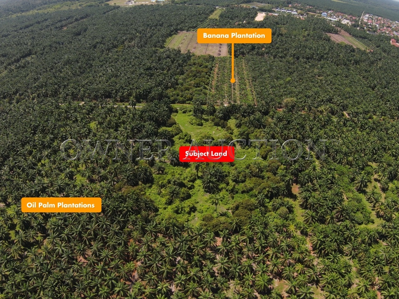 Buy [Road Accessible] Flat Agricultural Land [Near to Perak Border