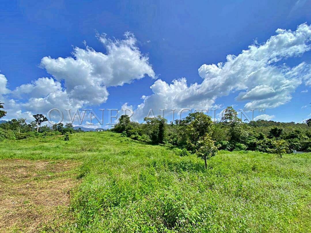 Buy [Road accessible; Land with electricity, water meter, gated