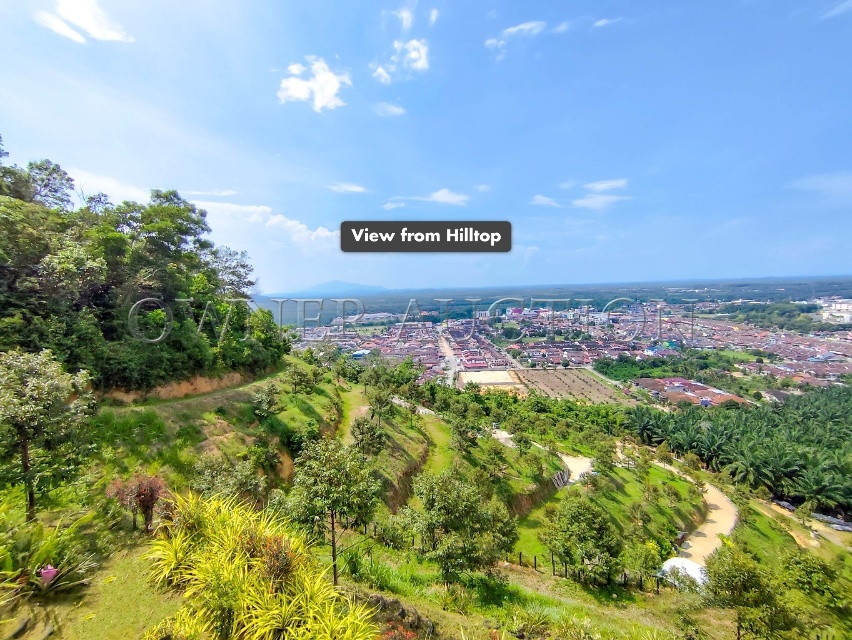[Full ownership for long-term gain] 2 Pieces of Agricultural Land [Ideal for farming, private estate, or land banking]