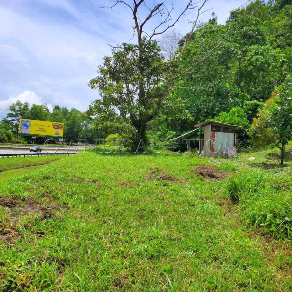 Freehold Agricultural Land [14 min to Bentong Town;  Located right next to the KARAK Highway]