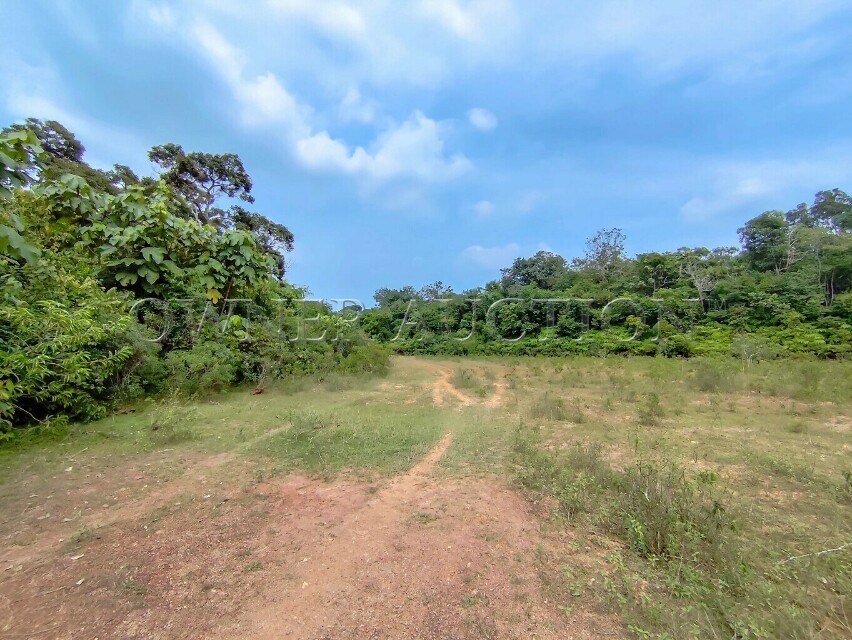 [Direct Road Access; Utilities Nearby] Freehold Land [5 min to Bukit Katil; 15 min to Ayer Keroh Toll]