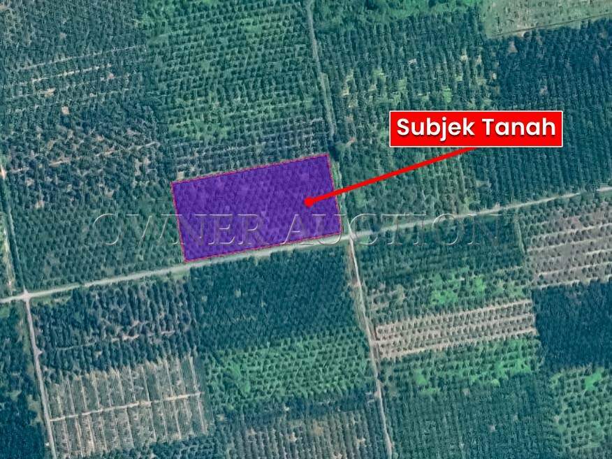 [Land with Road Access] Agricultural Land [Located along Jalan Tebuk Berihun; 10 mins to Pekan Sabak Bernam]